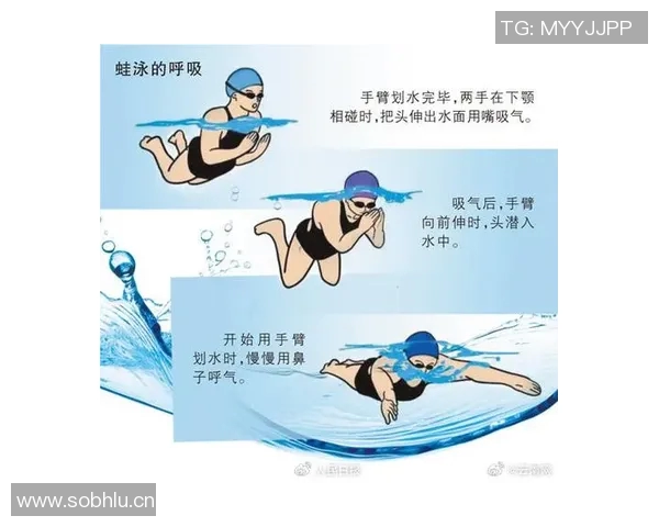 游泳技巧大揭秘：从入水起动到柔顺划水，完美还原优美泳姿